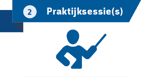 Praktijksessie(s)